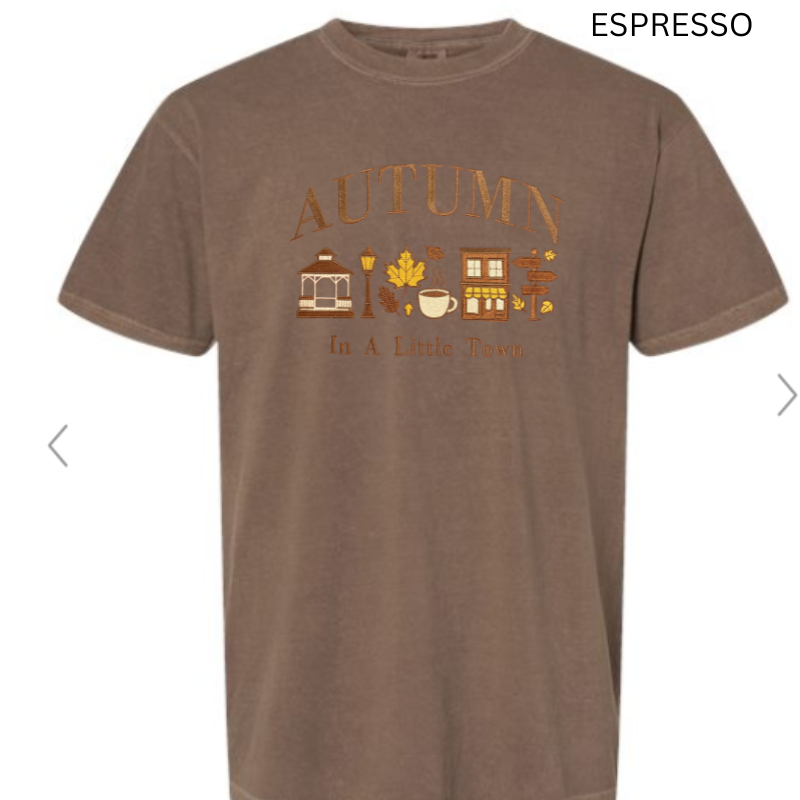 Autumn in a Little Town Embroidered T-Shirt 